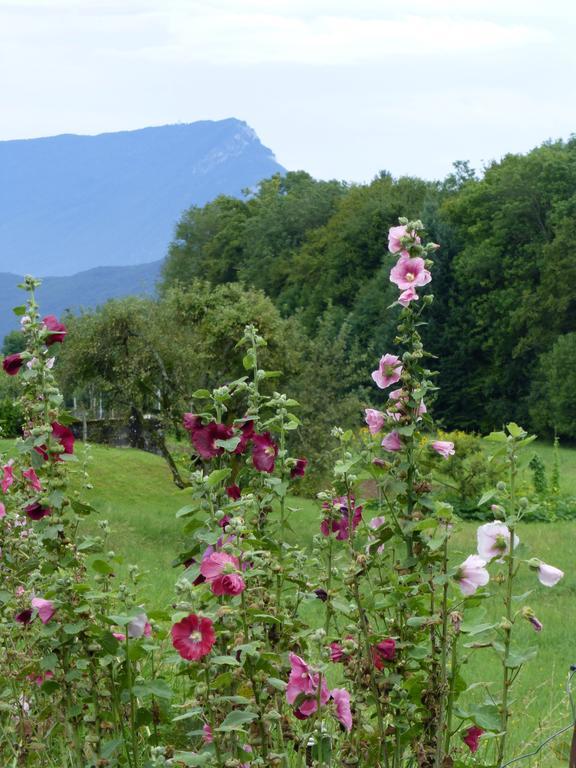 Au Coeur De La Campagne - Gite Non Loins D'Annecy- A 17 Min D'Annecy - Tout Pret D'Aix Les Bains Saint-Girod Exteriér fotografie